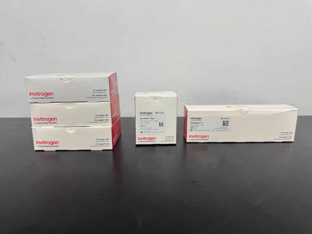 Image of Invitrogen DynaMag Accessories